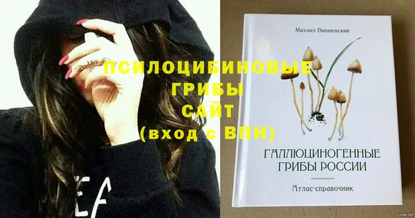 альфа пвп Карпинск