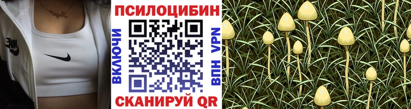ОМГ ОМГ рабочий сайт  Жуковский  Псилоцибиновые грибы мухоморы 