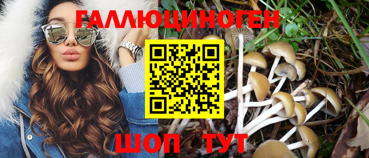 Псилоцибиновые грибы Magic Shrooms Жуковский