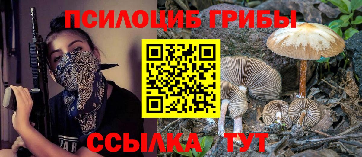 Псилоцибиновые грибы Psilocybine cubensis  Псилоцибиновые грибы Cubensis  что такое наркотик  Жуковский  Вход с VPN 