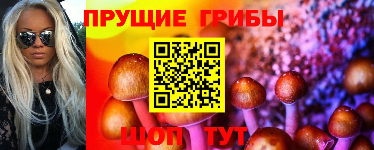 Галлюциногенные грибы Psilocybe Жуковский