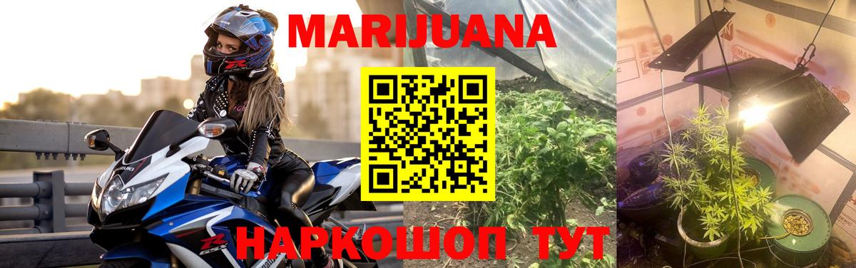 Бошки Шишки White Widow  Бошки марихуана индика  Конопля планчик  Жуковский  Бошки марихуана ГИДРОПОН 